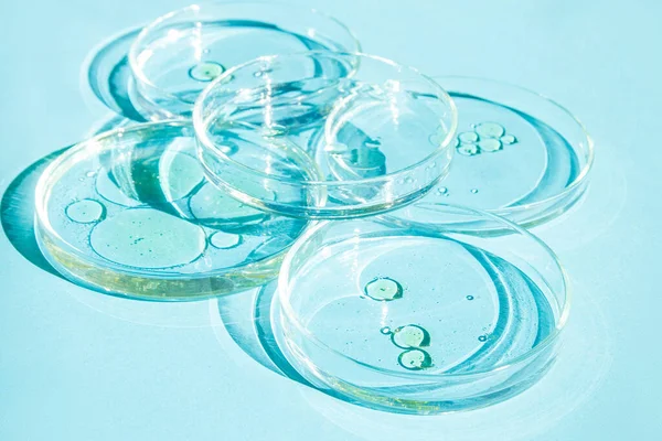 Petri菜 Petri杯与液体 准备好了化学元素 化妆品 蓝色背景的 — 图库照片