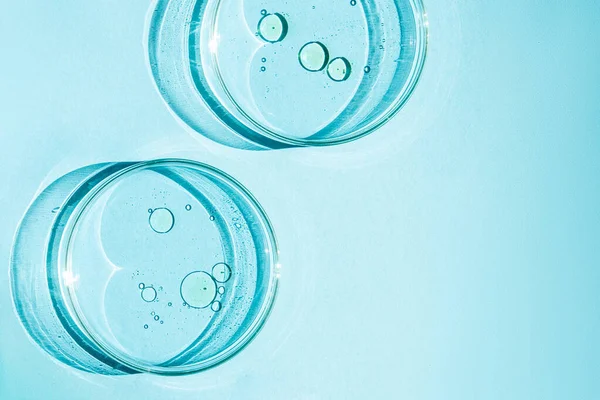 Petri菜 Petri杯与液体 准备好了化学元素 化妆品 蓝色背景的 — 图库照片