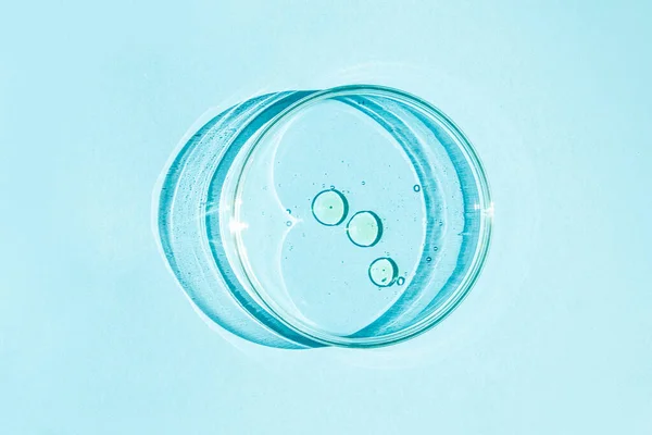 ペトリ皿 ペトリのコップに液体が入ってる 化学元素 化粧品 ウイルス 接近中だ 青い背景で — ストック写真