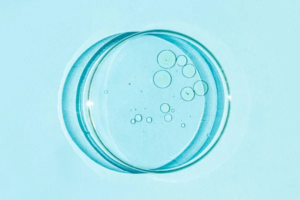 Petri Dish Petri Cup Liquid Chemical Elements Oil Cosmetics Gel — Stock Photo, Image
