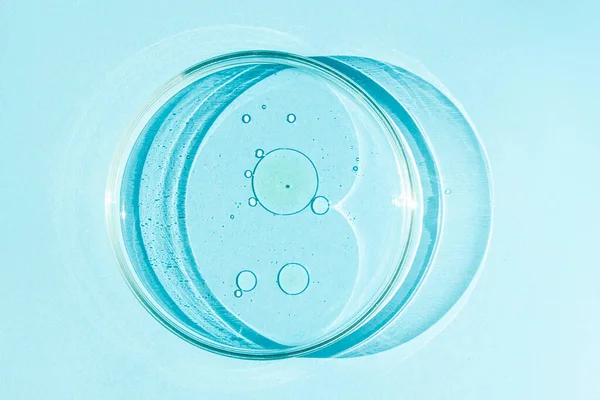 Πιάτο Petri Κύπελλο Του Petri Υγρό Χημικά Στοιχεία Λάδι Καλλυντικά — Φωτογραφία Αρχείου