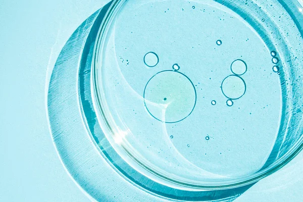 Petri菜 Petri的杯子里有液体化学元素 化妆品 蓝色背景的 — 图库照片