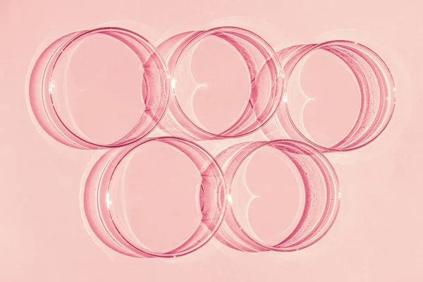 Petrischaaltje Een Set Petrischaaltjes Een Roze Achtergrond Laboratoriumhelft — Stockfoto