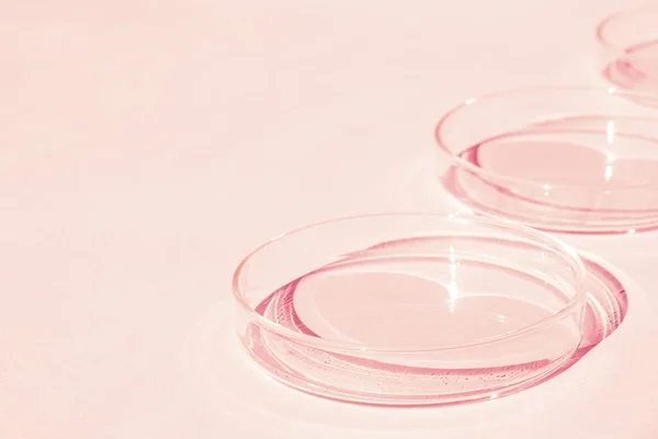 Petri Kabı Bir Takım Petri Bardakları Pembe Arka Planda Laboratuarın — Stok fotoğraf