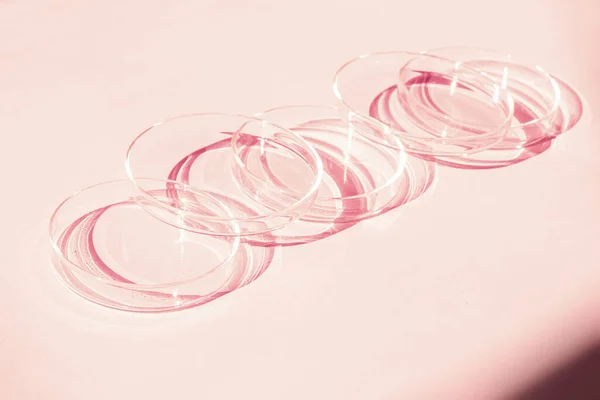 stock image Petri dish. A set of Petri cups. On a pink background. Laboratory half.