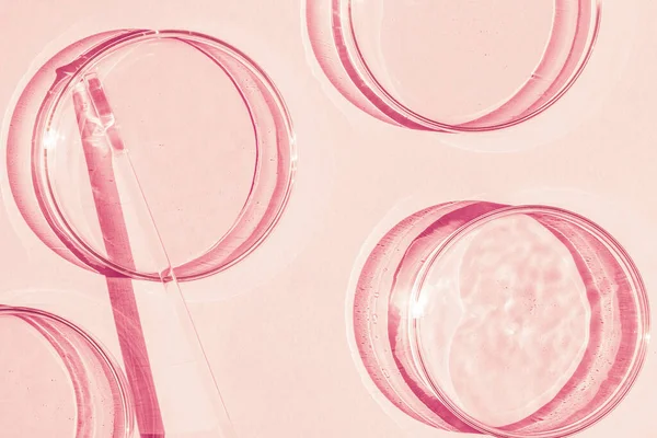 Petriskål Uppsättning Petriskoppar Pipett Glasrör Rosa Bakgrund — Stockfoto