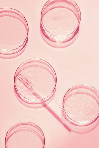 Petri菜 一套Petri杯 一个管道 玻璃管 粉红的背景 — 图库照片