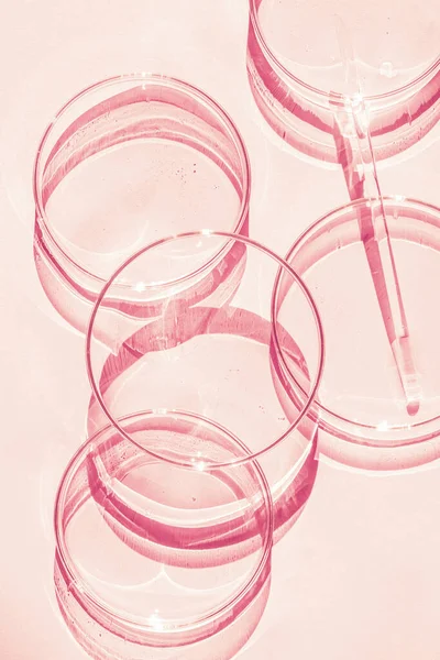 Petri Kabı Bir Takım Petri Bardakları Bir Pipet Cam Tüp — Stok fotoğraf