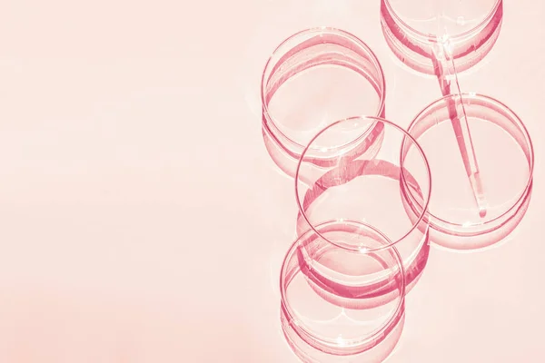 Petri kabı. Bir takım Petri bardakları. Bir pipet, cam tüp. Pembe bir arka planda.