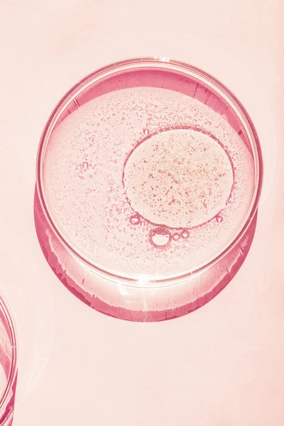 페트리 페트리 액체를 화장품 바이러스 클로즈업 분홍빛 배경에 — 스톡 사진