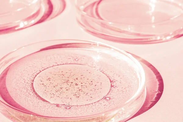Petri菜 Petri的杯子里有液体化学元素 化妆品 粉红的背景 — 图库照片