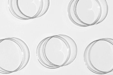 Petri kabı. Bir takım Petri bardakları. Beyaz bir arka planda. Laboratuarın yarısı..
