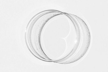 Petri kabı. Arka planda.