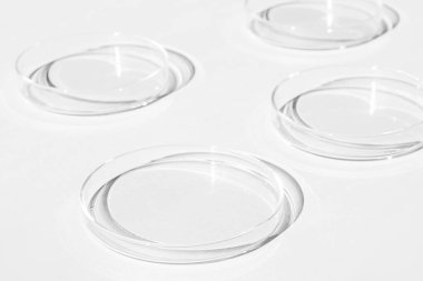 Petri kabı. Bir takım Petri bardakları. Beyaz bir arka planda. Laboratuarın yarısı..