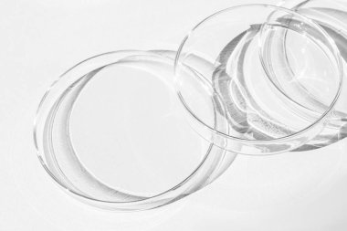 Petri kabı. Bir takım Petri bardakları. Beyaz bir arka planda. Laboratuarın yarısı..