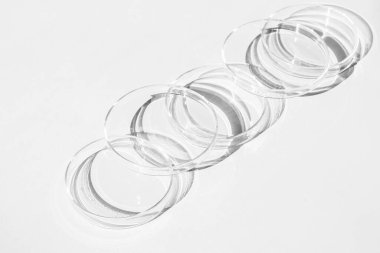 Petri kabı. Bir takım Petri bardakları. Beyaz bir arka planda. Laboratuarın yarısı..