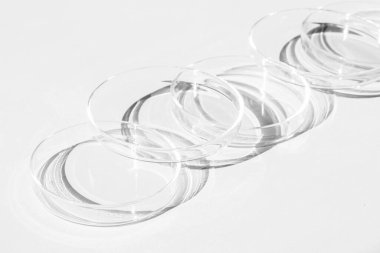 Petri kabı. Bir takım Petri bardakları. Beyaz bir arka planda. Laboratuarın yarısı..