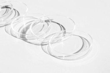 Petri kabı. Bir takım Petri bardakları. Beyaz bir arka planda. Laboratuarın yarısı..