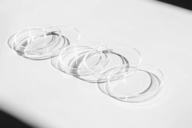 Petri kabı. Bir takım Petri bardakları. Beyaz bir arka planda. Laboratuarın yarısı..