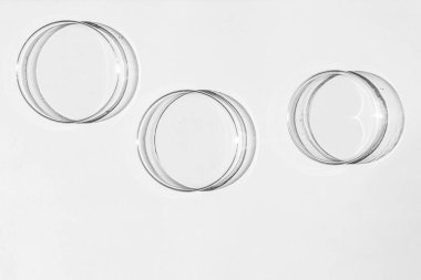 Petri kabı. Bir takım Petri bardakları. Beyaz bir arka planda. Laboratuarın yarısı..