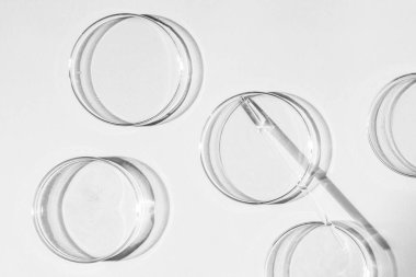 Petri dish. A set of Petri cups. A pipette, glass tube. On a white background. clipart