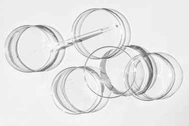 Petri kabı. Bir takım Petri bardakları. Bir pipet, cam tüp. Beyaz bir arkaplanda.