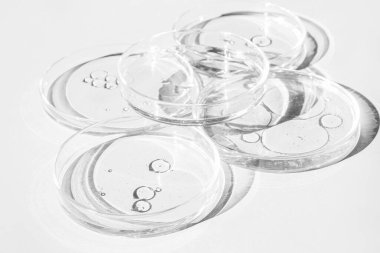 Petri kabı. Sıvı petri bardakları. Kit. Kimyasal elementler, petrol, kozmetik. Jel, su, moleküller, virüsler. Yakın plan. Beyaz bir arkaplanda.