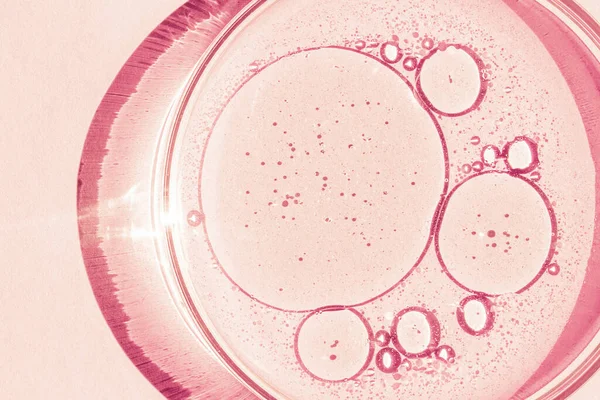 Petri菜 Petri的杯子里有液体化学元素 化妆品 粉红的背景 — 图库照片