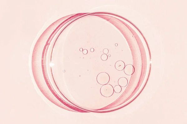 ペトリ皿 ペトリのコップに液体が入ってる 化学元素 化粧品 ウイルス 接近中だ ピンクの背景に — ストック写真