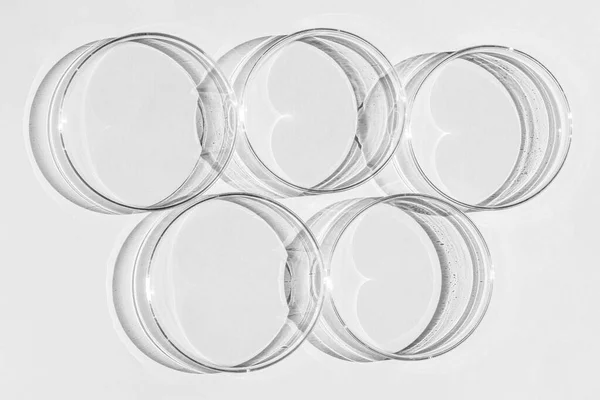 Petri Dish Set Petri Cups White Background Laboratory Half — Stock Photo, Image