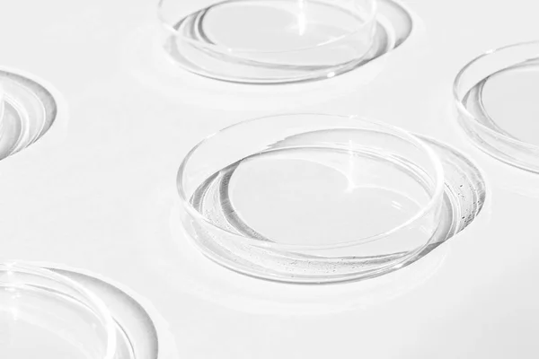 Πιάτο Petri Ένα Σετ Κύπελλα Petri Λευκό Φόντο Εργαστήριο Μισό — Φωτογραφία Αρχείου
