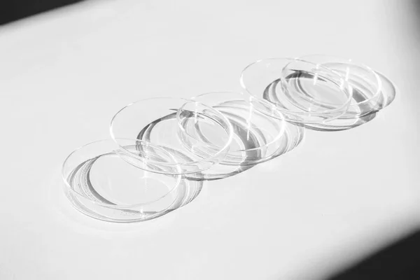 stock image Petri dish. A set of Petri cups. On a white background. Laboratory half.