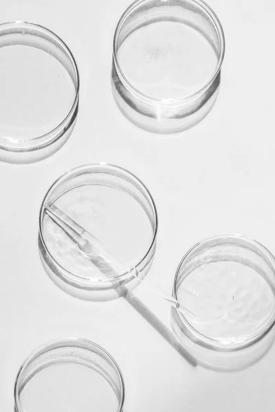 Petri菜 一套Petri杯 一个管道 玻璃管 背景是白色的 — 图库照片