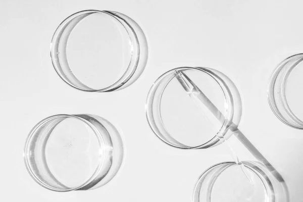 Stock image Petri dish. A set of Petri cups. A pipette, glass tube. On a white background.