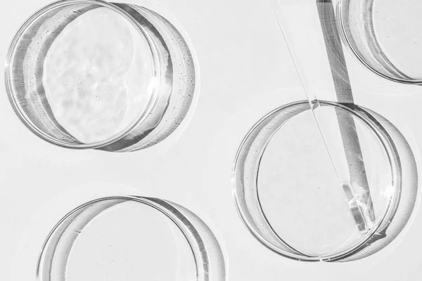 Petriskål Uppsättning Petriskoppar Pipett Glasrör Vit Bakgrund — Stockfoto
