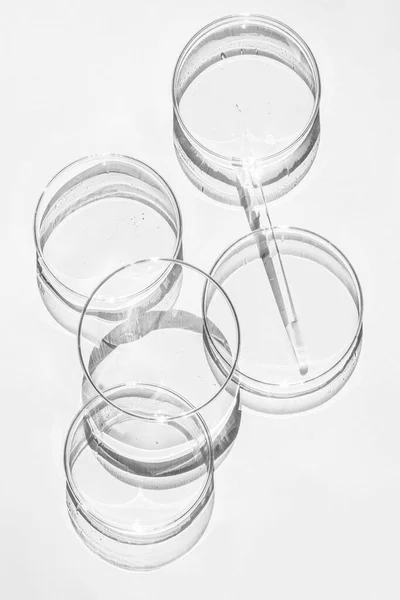 stock image Petri dish. A set of Petri cups. A pipette, glass tube. On a white background.