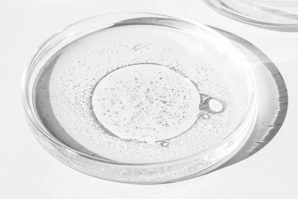 Placa Petri Taza Petri Con Líquido Elementos Químicos Aceite Cosméticos — Foto de Stock