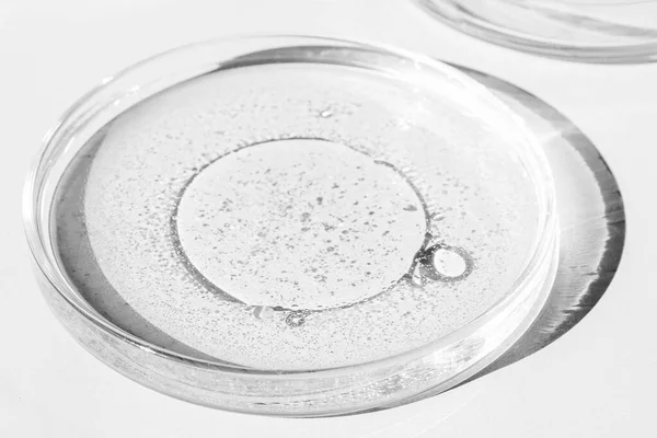 Cawan Petri Cangkir Petri Dengan Cairan Unsur Kimia Minyak Kosmetik — Stok Foto