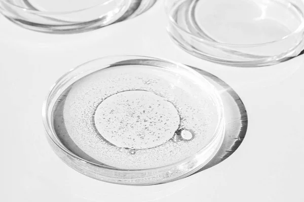 Petri菜 Petri的杯子里有液体化学元素 化妆品 背景是白色的 — 图库照片