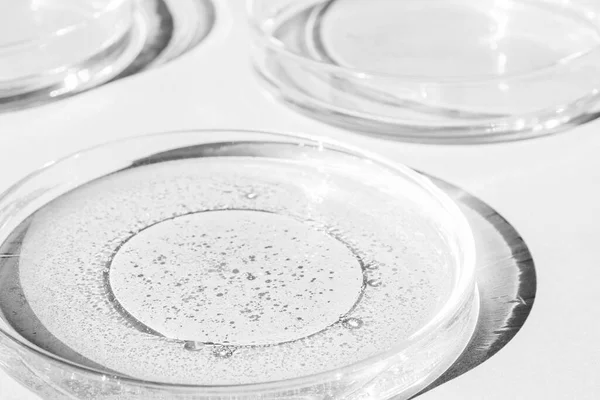 Boîte Pétri Tasse Petri Avec Liquide Eléments Chimiques Huile Cosmétiques — Photo