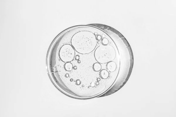 Petrischale Vorhanden Petrischale Mit Flüssigkeit Vorhanden Chemische Elemente Kosmetik Gel — Stockfoto