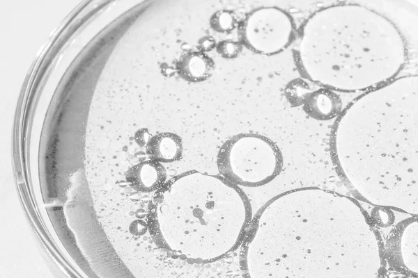 Petri菜 Petri的杯子里有液体化学元素 化妆品 背景是白色的 — 图库照片