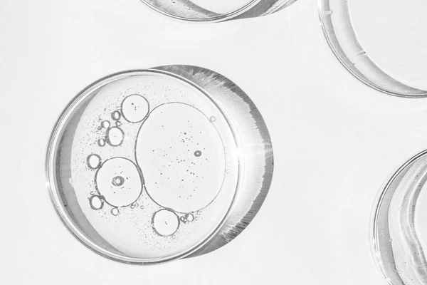 Boîte Pétri Tasse Petri Avec Liquide Eléments Chimiques Huile Cosmétiques — Photo