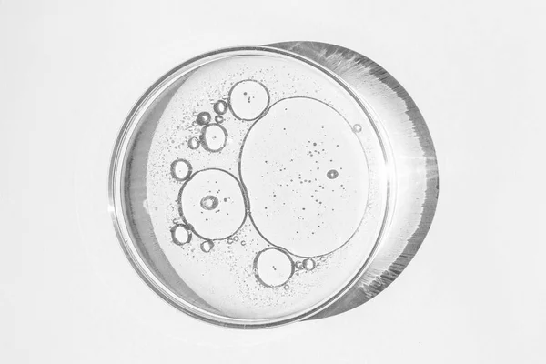 Petrischale Vorhanden Petrischale Mit Flüssigkeit Vorhanden Chemische Elemente Kosmetik Gel — Stockfoto