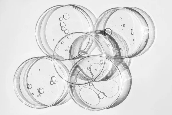 Petri Dish Petri Cups Liquid Kit Chemical Elements Oil Cosmetics — Stock Photo, Image