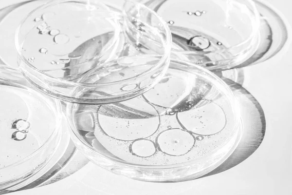 Cawan Petri Cangkir Petri Dengan Cairan Kit Unsur Kimia Minyak — Stok Foto