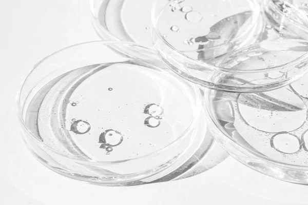 Piastra Petri Tazze Petri Con Liquido Kit Elementi Chimici Olio — Foto Stock
