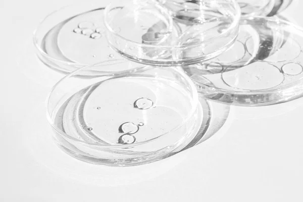 Piastra Petri Tazze Petri Con Liquido Kit Elementi Chimici Olio — Foto Stock