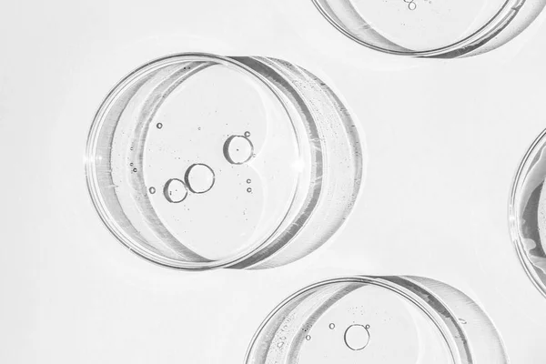 Petri Kabı Sıvı Petri Bardakları Kit Kimyasal Elementler Petrol Kozmetik — Stok fotoğraf