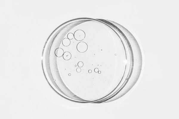Placa Petri Taza Petri Con Líquido Elementos Químicos Aceite Cosméticos —  Fotos de Stock